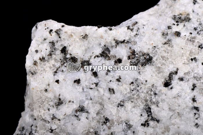 Granite - détail (Tarn) - gryphea.com